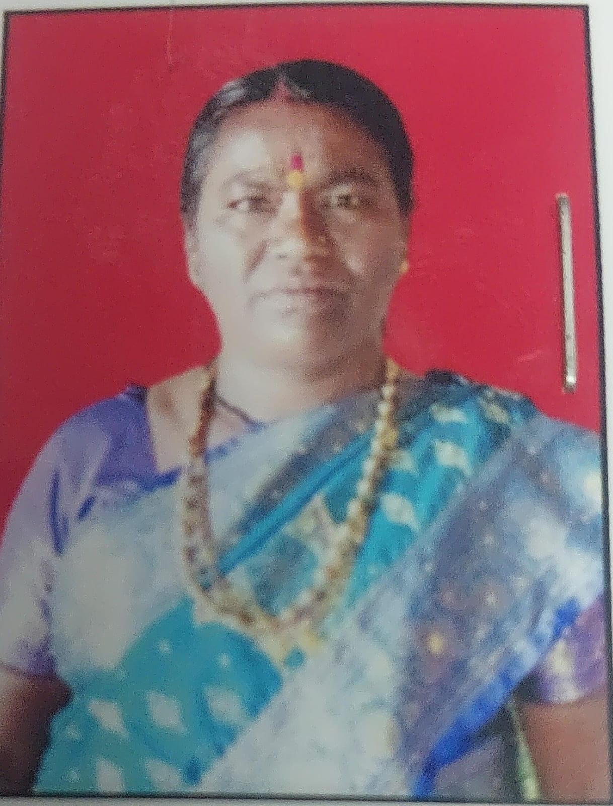 सदस्य