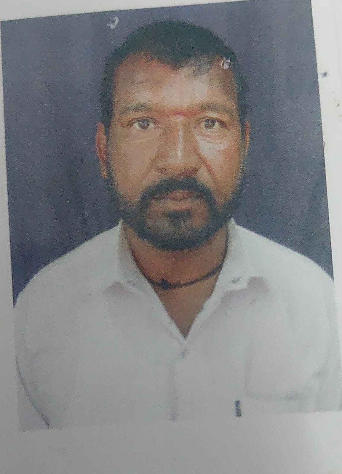 सदस्य